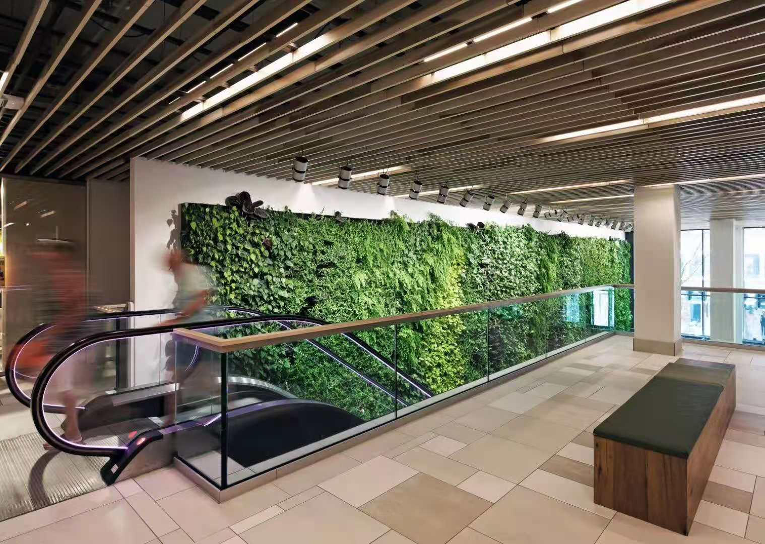 绿植景观